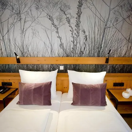 Vierjahreszeiten ホテル 4*