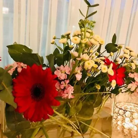 ホテル Vierjahreszeiten フラッハウ